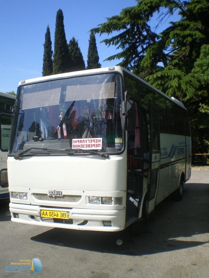Автобусы