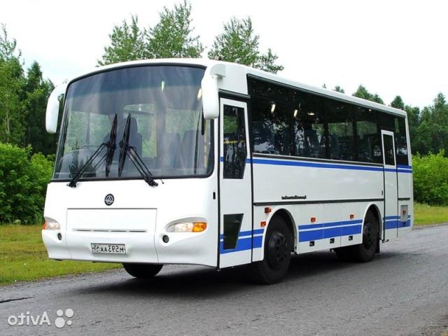 Автобус межгород пригородный кавз 4238 -41 Аврора